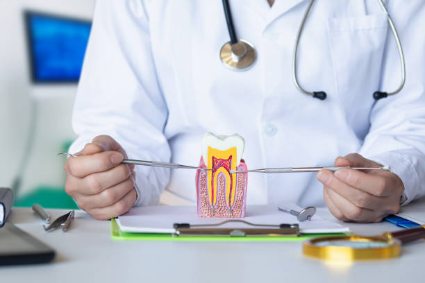 Best Emergency Tooth Extraction in Dutch Island, GA